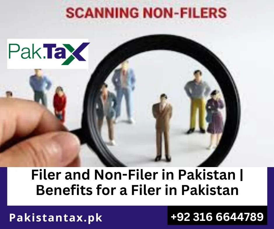 Filer in Pakistan